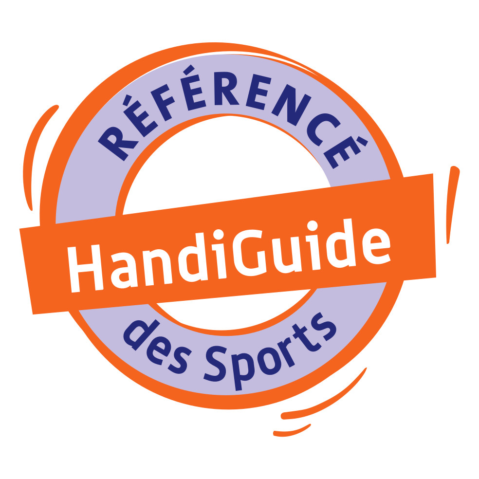 autocollant numerique hd handiguide 1